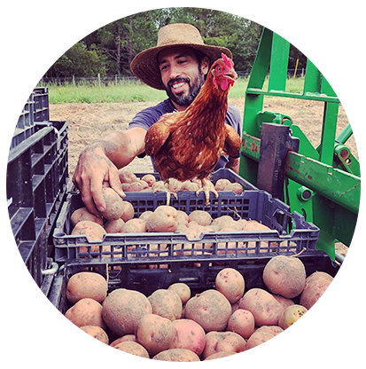 Fresh eggs from Swallowtail Farm