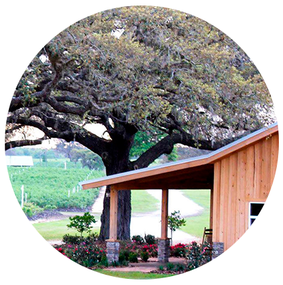 Fresh fruit from Red White and Blues Farm